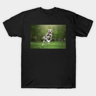 dog T-Shirt